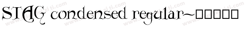STAG condensed regular字体转换